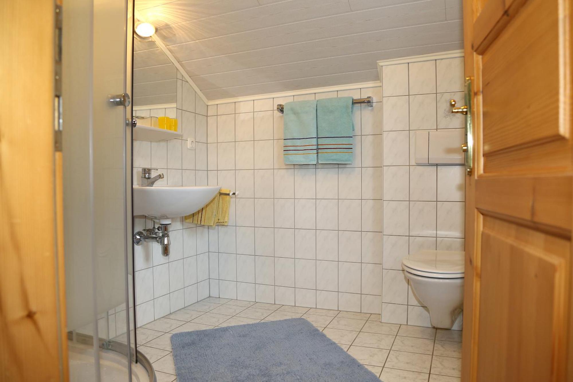 Haufhof-Pension Am Bauernhof, Haus Im Ennstal Bei Schladming Екстер'єр фото