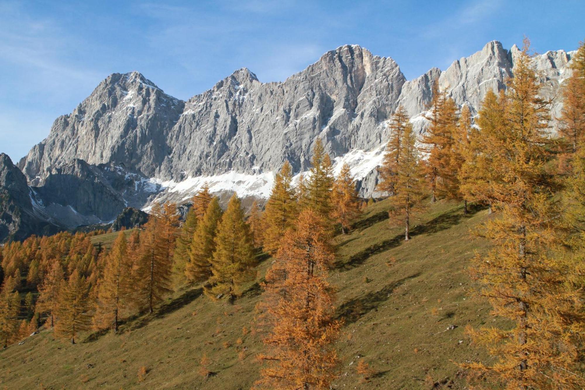 Haufhof-Pension Am Bauernhof, Haus Im Ennstal Bei Schladming Екстер'єр фото